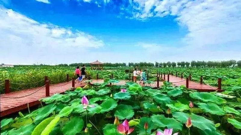 农业项目投入产出对比：如何精准评估投资效益**