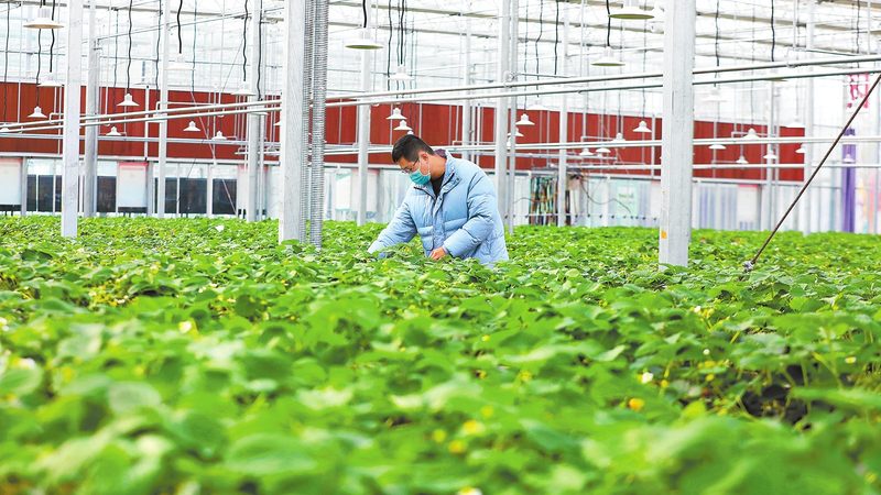现代农业示范区建设标准验收细则全解析