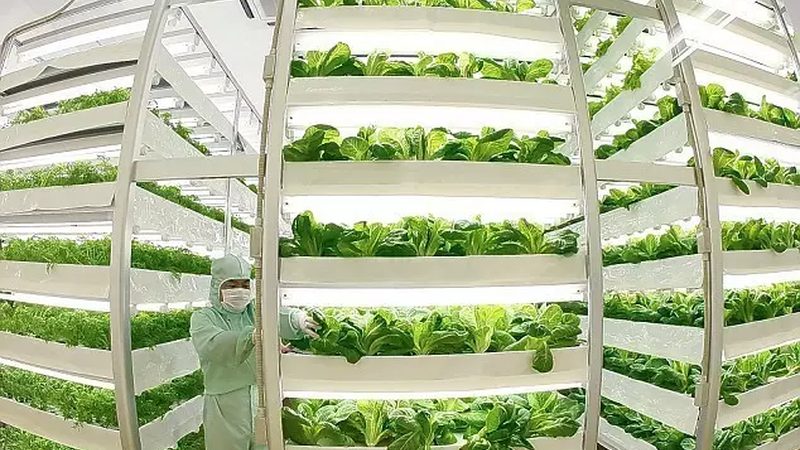 上海生鲜配送批发市场：价格波动背后的逻辑
