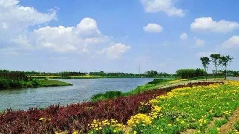 农业产业园冷链物流配套项目招标：关键要素与考量**