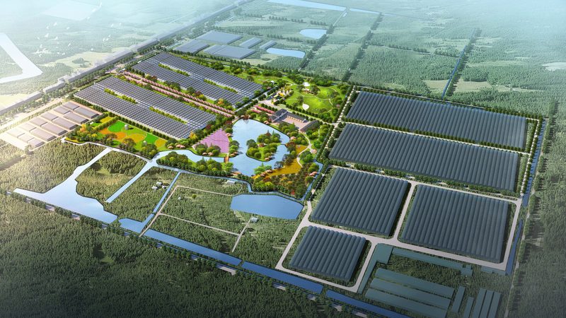 行业背景：农资需求持续增长，渠道拓展重要性凸显