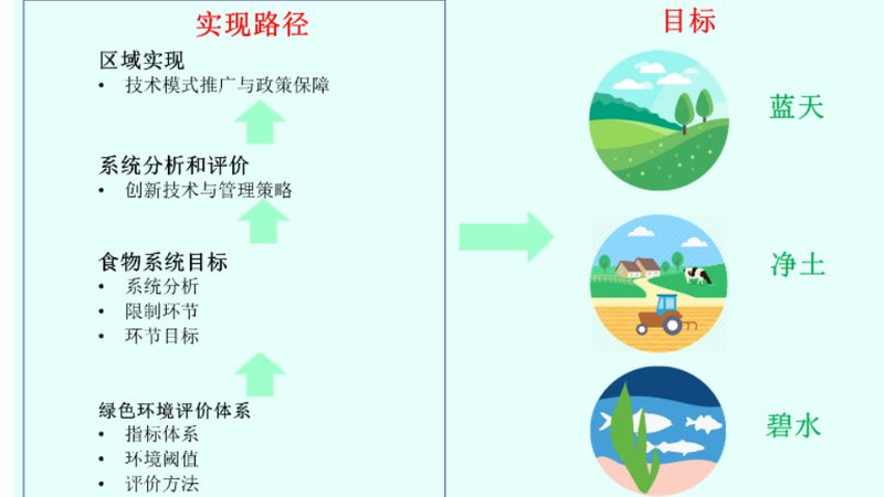 农村创业项目代理，如何把握关键条件？**