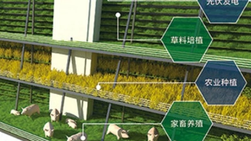 土壤酸碱度对粮食种植产量提升的影响