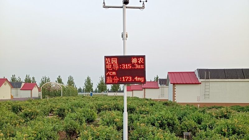 无公害食品与绿色食品加盟代理：揭秘绿色农业新机遇