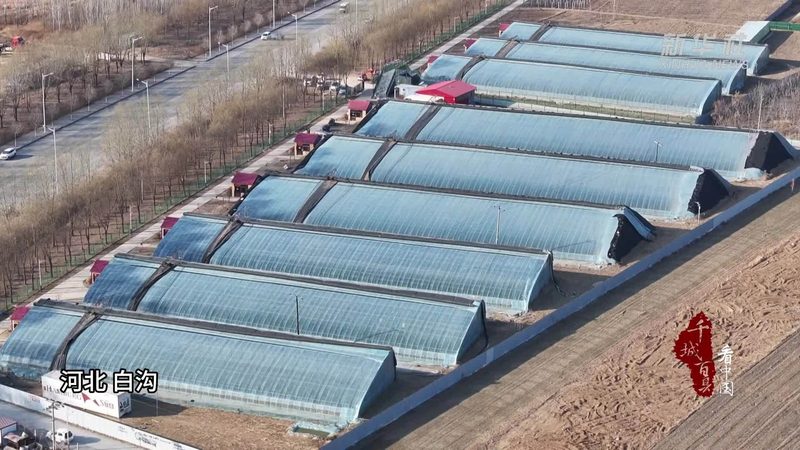 循环农业产业链设计：构建可持续发展的农业生态圈