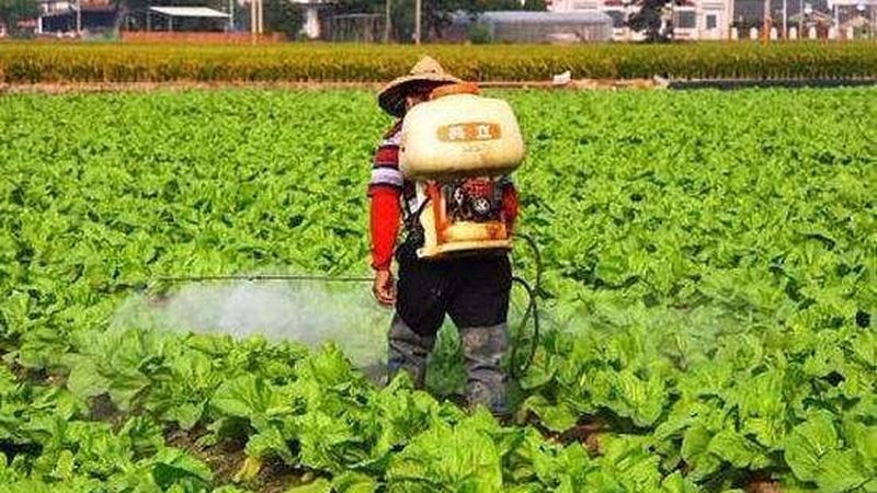 现代观光园设计：材质选择的生态考量
