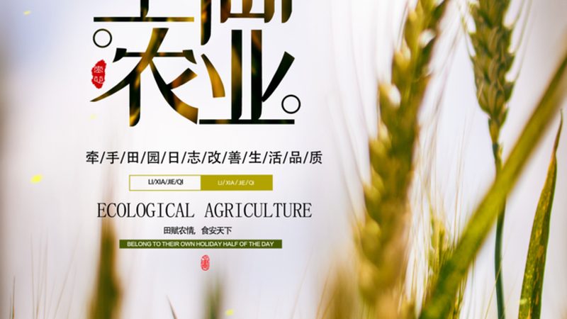 农业项目投资代理费用，揭秘投资背后的成本考量